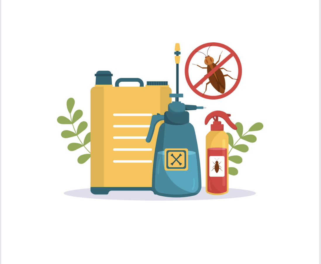 Holiday Reminder: Pests Don’t Take a Winter Break in San Diego